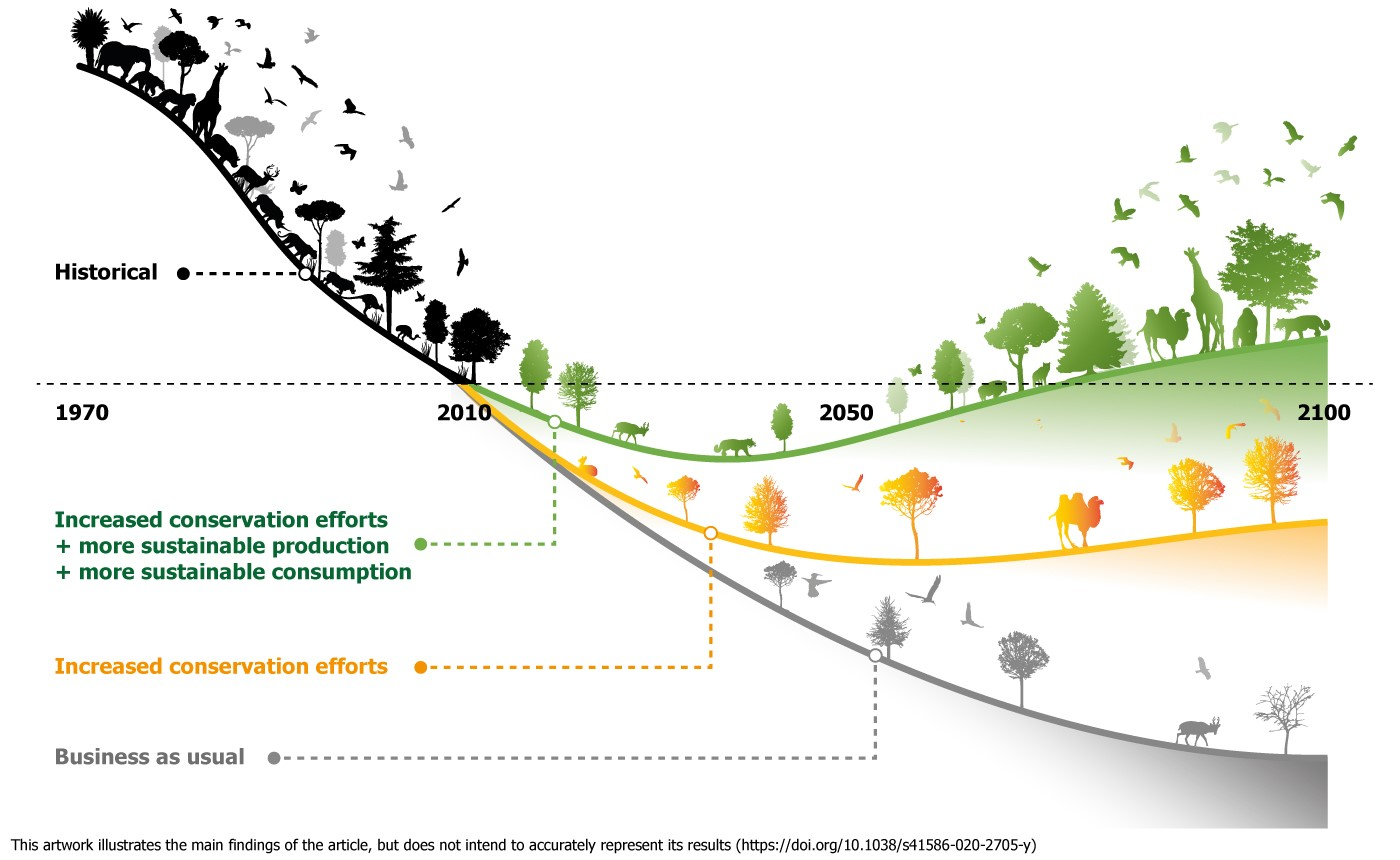 6db3b4ae 033c 45b9 b85c 286c35d715d5 bending the curve for biodiversity leclere nature 1