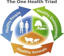 OneHealth Triad