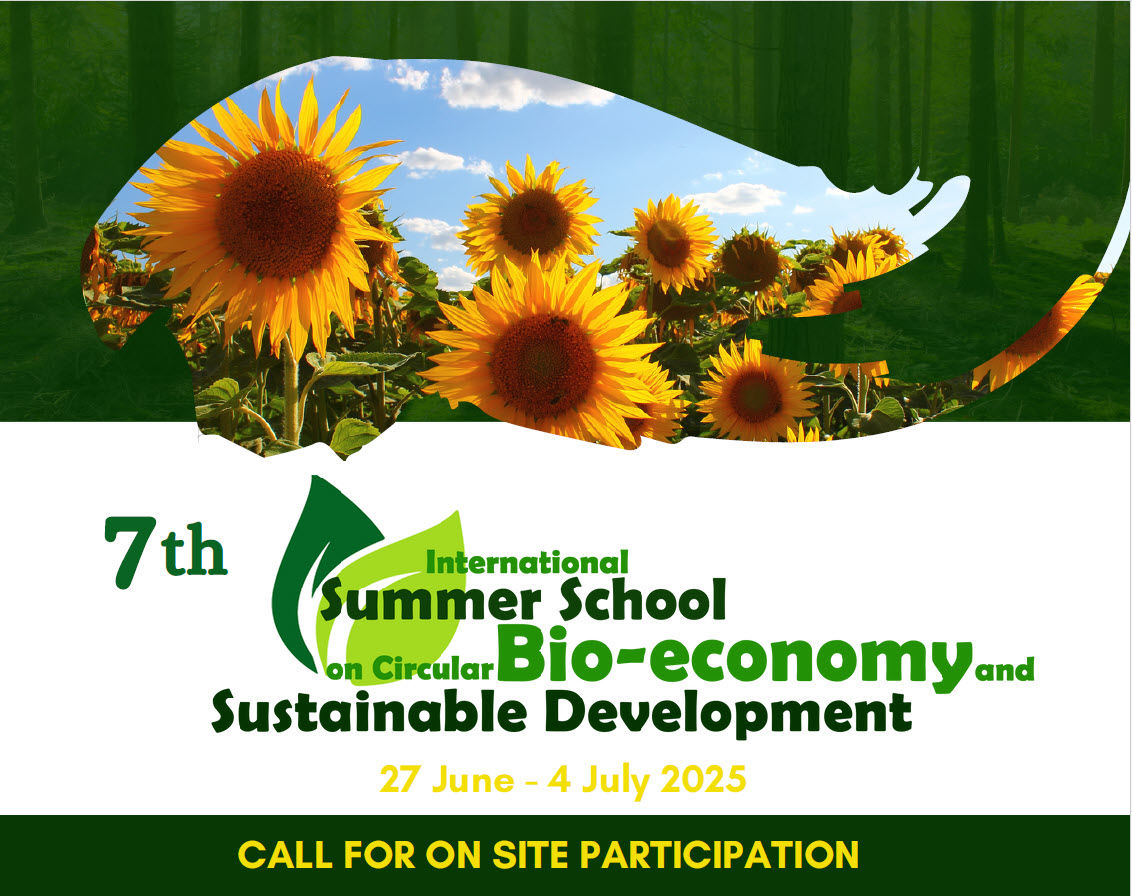 7th Summer school image